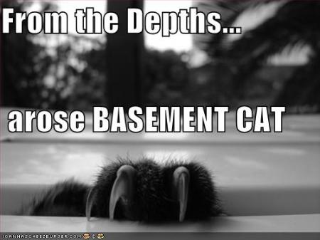 basementcat.jpg